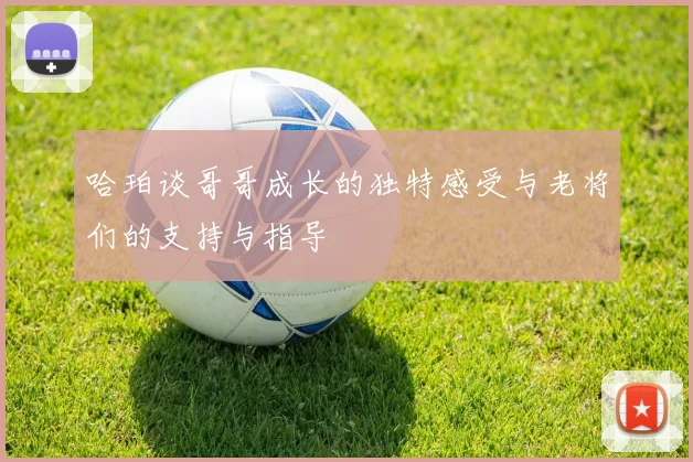 哈珀谈哥哥成长的独特感受与老将们的支持与指导